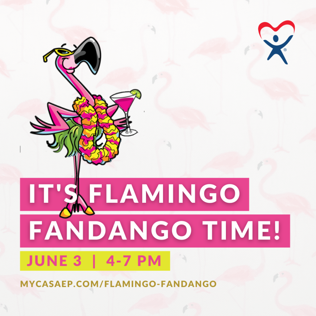 Event Announcement : Flamingo Fandango Fundraiser Marketing